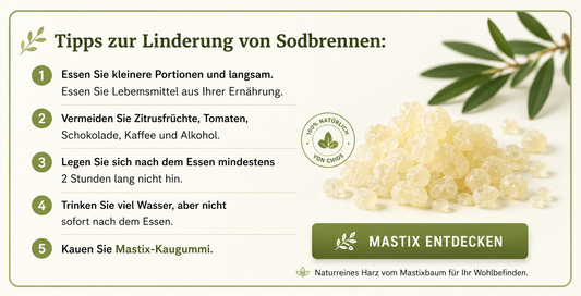 7-Tage Speiseplan Für Sodbrennen