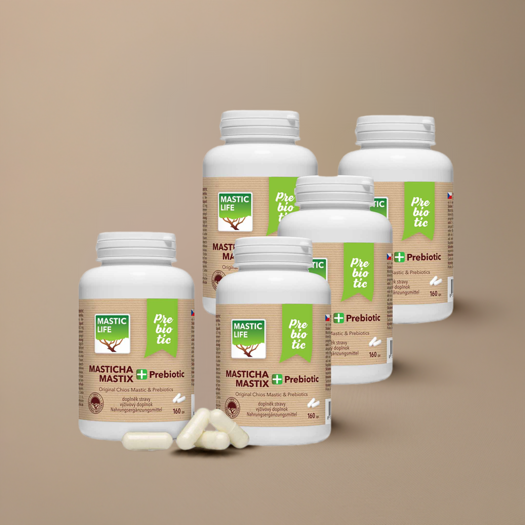 Mastix+ Prebiotic Economy Langzeit-Mastix-Therapie (800 Kapseln) Masticlife