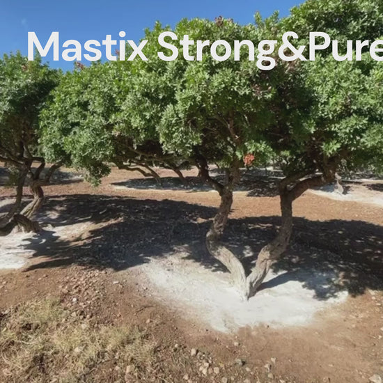 Mastix Strong&Pure – Natürliche Unterstützung für die Magengesundheit Helicobacter, Gastritis, Reflux